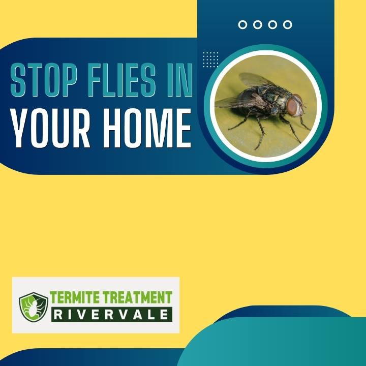 Fly Control: Effective Ways to Stop Flies from Invading Your Home
