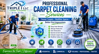 Why Professional Carpet Cleaning Is Essential for Homes and Businesses