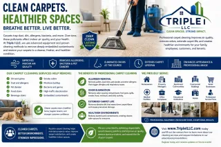 How Professional Carpet Cleaning Improves Indoor Air Quality and Creates Healthier Spaces