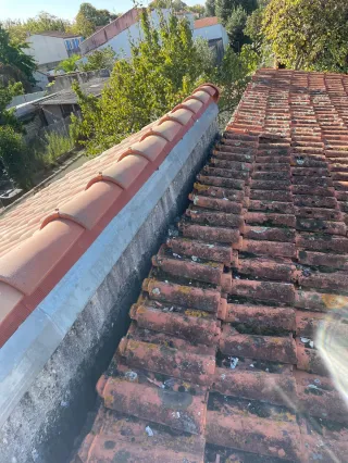 Quand faut-il refaire sa toiture en Charente-Maritime ? Les signes à ne pas ignorer