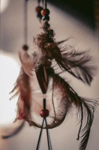 Is Shamanic Healing Real? A Different Question Entirely