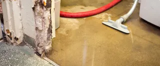 How to Stop a Basement Flood Until Help Arrives in Tacoma