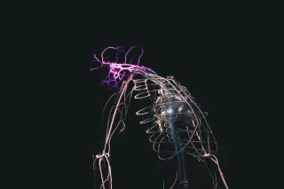 Vagus Nerve and Digestion: Natural Ways to Support Vagal Tone
