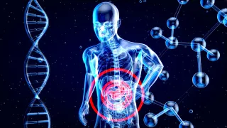 How Digestion Works: Your Digestive System Explained