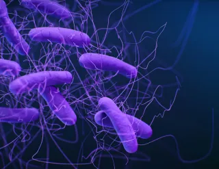  Gut Dysbiosis: Symptoms, Causes, Tests, and Meaning