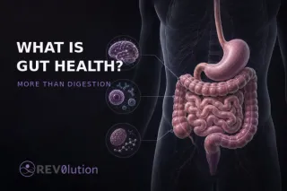 What Is Gut Health? Digestion, Microbiome & More