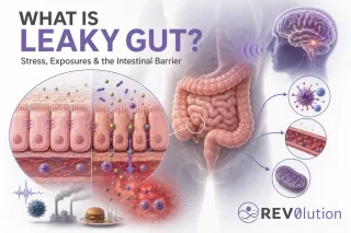 What Is Leaky Gut? Intestinal Permeability Explained