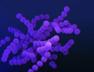 What Is the Gut Microbiome? Functions, Testing and Health