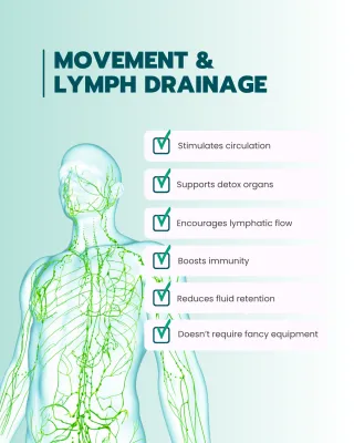 Boost Health with Lymph Movement