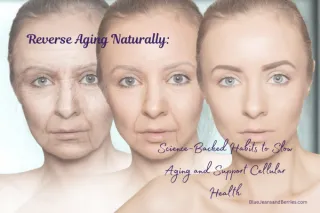 Reverse Aging Naturally: Science-Backed Habits to Slow Aging and Support Cellular Health