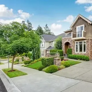 Tree Removal Cost: Factors & Price Ranges