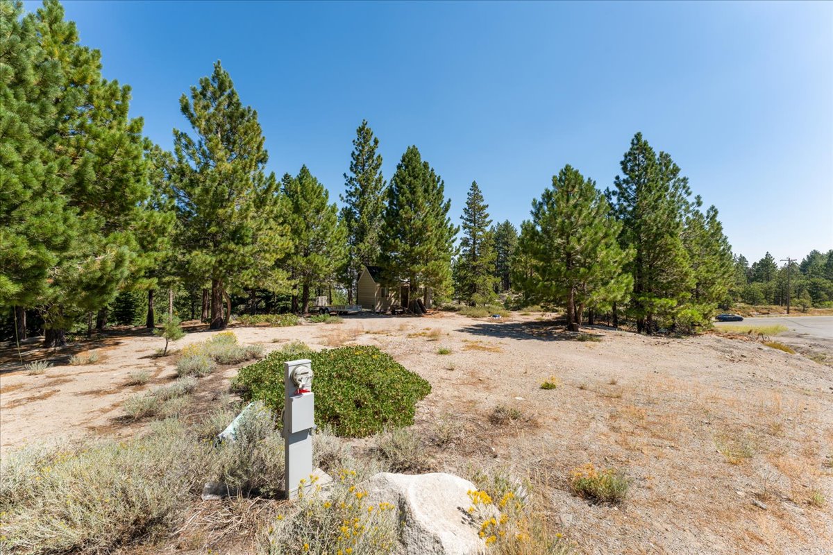 Mostly Flat, Buildable Land Near Mount Rose Ski Resort, No HOA