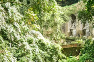Java, Bali & Komodo Tours