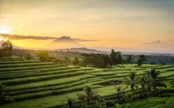 Java, Bali & Komodo Tours