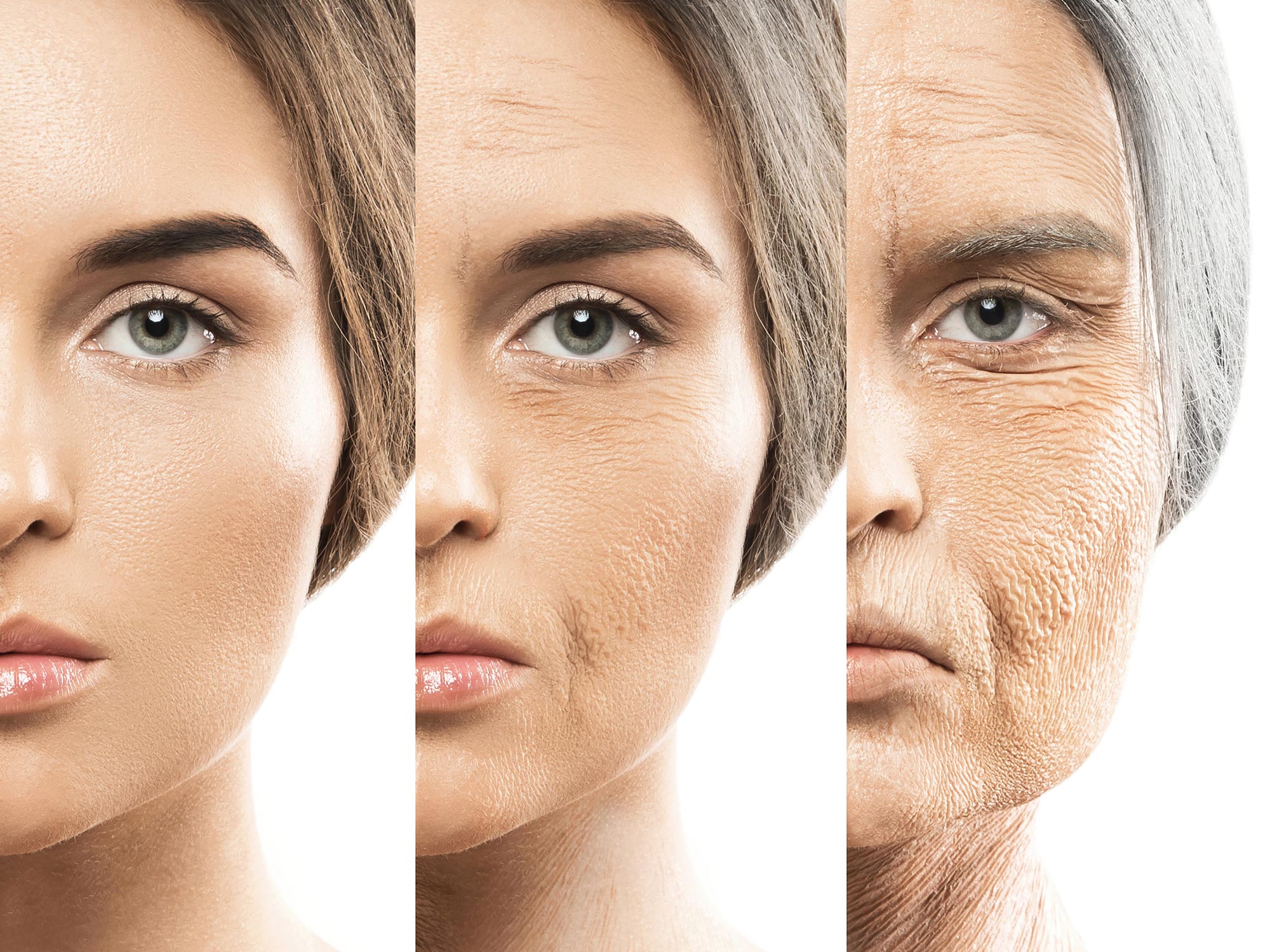 Ageing Is Not About Time. It’s About Organisation.