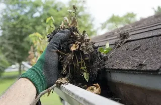 The Fall Roof Maintenance Checklist Every Quad Cities Homeowner Needs