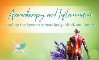 Aromatherapy and Inflammation: Cooling the System Across Body, Mind, and Energy