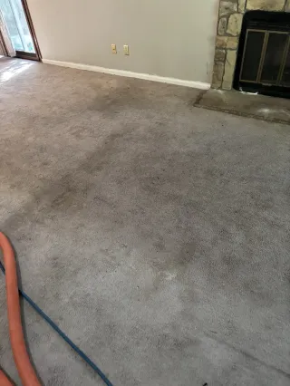 Same-Day Pet Urine Cleaning on Patterned Berber Carpet | Centennial, CO