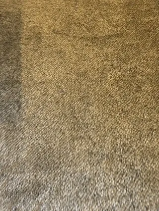 Littleton Carpet Cleaning — Heavy Traffic Lane Ken Caryl Wheelchair Job