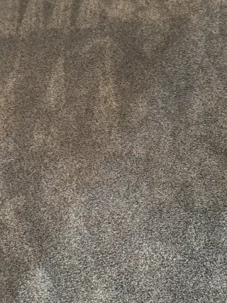 Highlands Ranch Carpet Cleaning — Elderly Dog Red Hue Nylon Cut Berber Move-Out