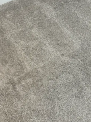 Parker Emergency Same-Day Carpet Cleaning — White Nylon Traffic Lanes Case Study
