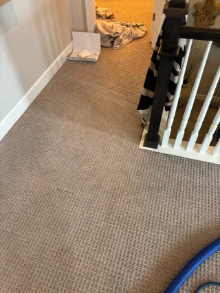 Seven-Year Nylon Carpet Cleaning in Westminster — We Didn't Charge Him