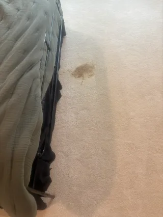 Pet Urine Sub-Floor Injection — Castle Rock Redhawk | Colorado Choice
