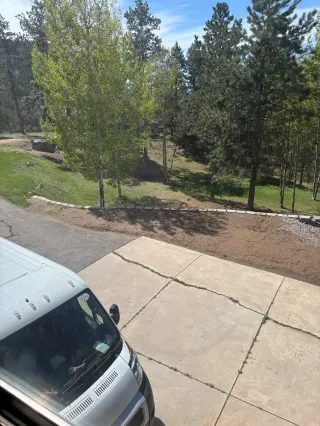 Wool Rug Pet Stain Cleaning — Highlands Ranch Case Study