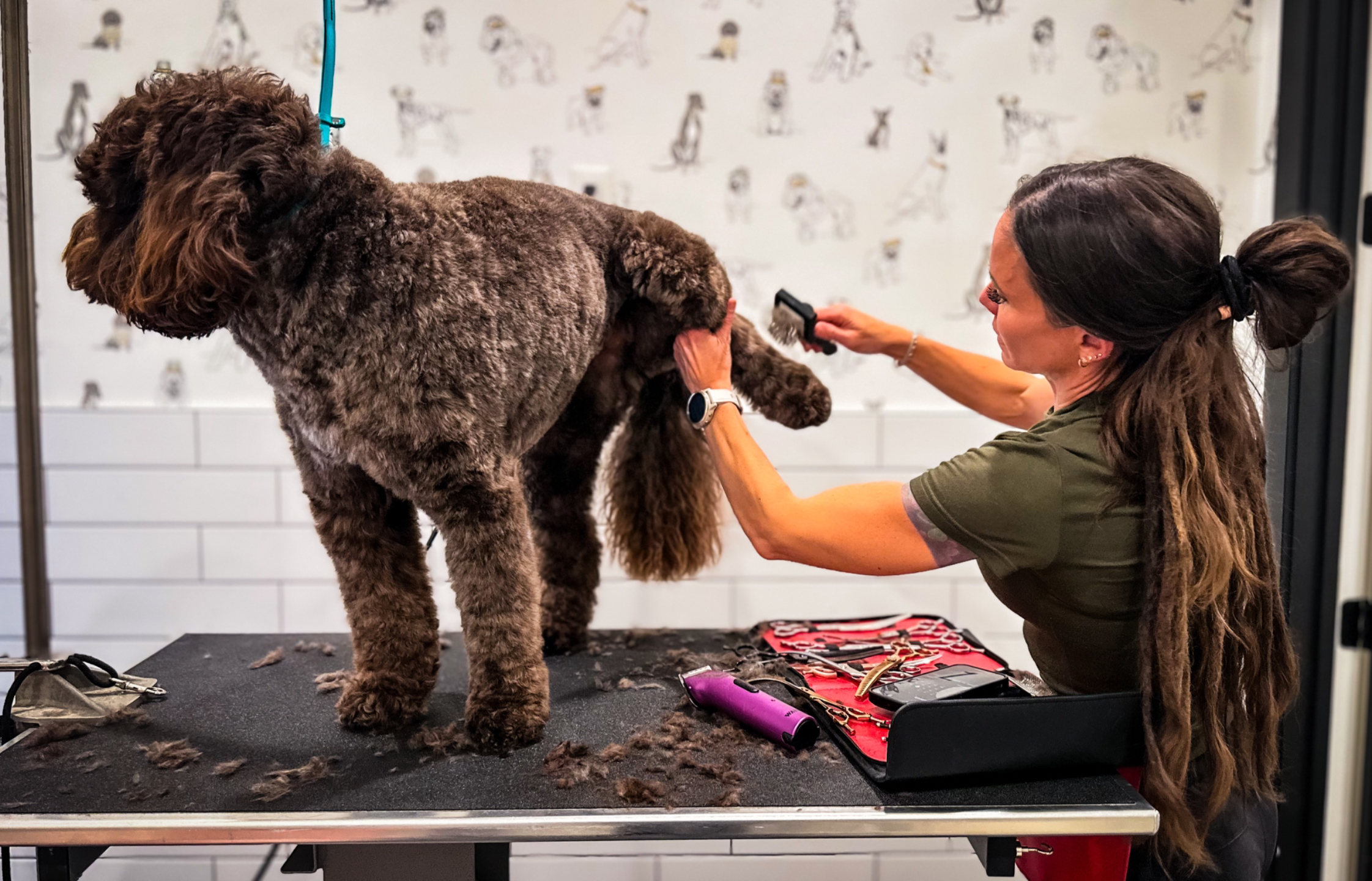 Why You Shouldn't Shave Double-Coated Dogs