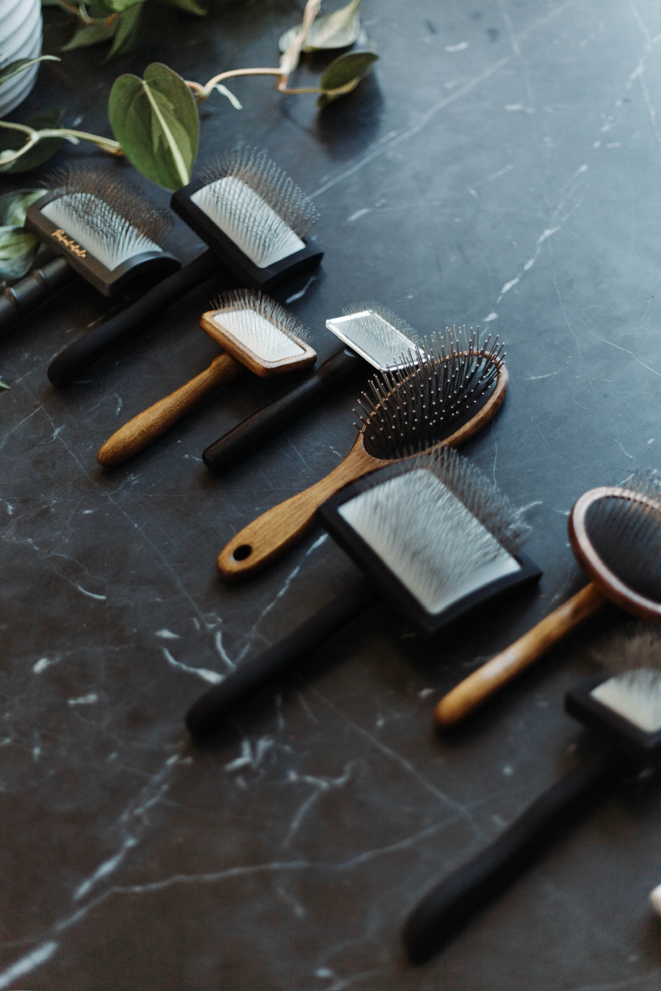 Why “Daily Brushing” Isn’t Always Enough for Doodles (And How Groomers and Owners Can Work Together) - Copy