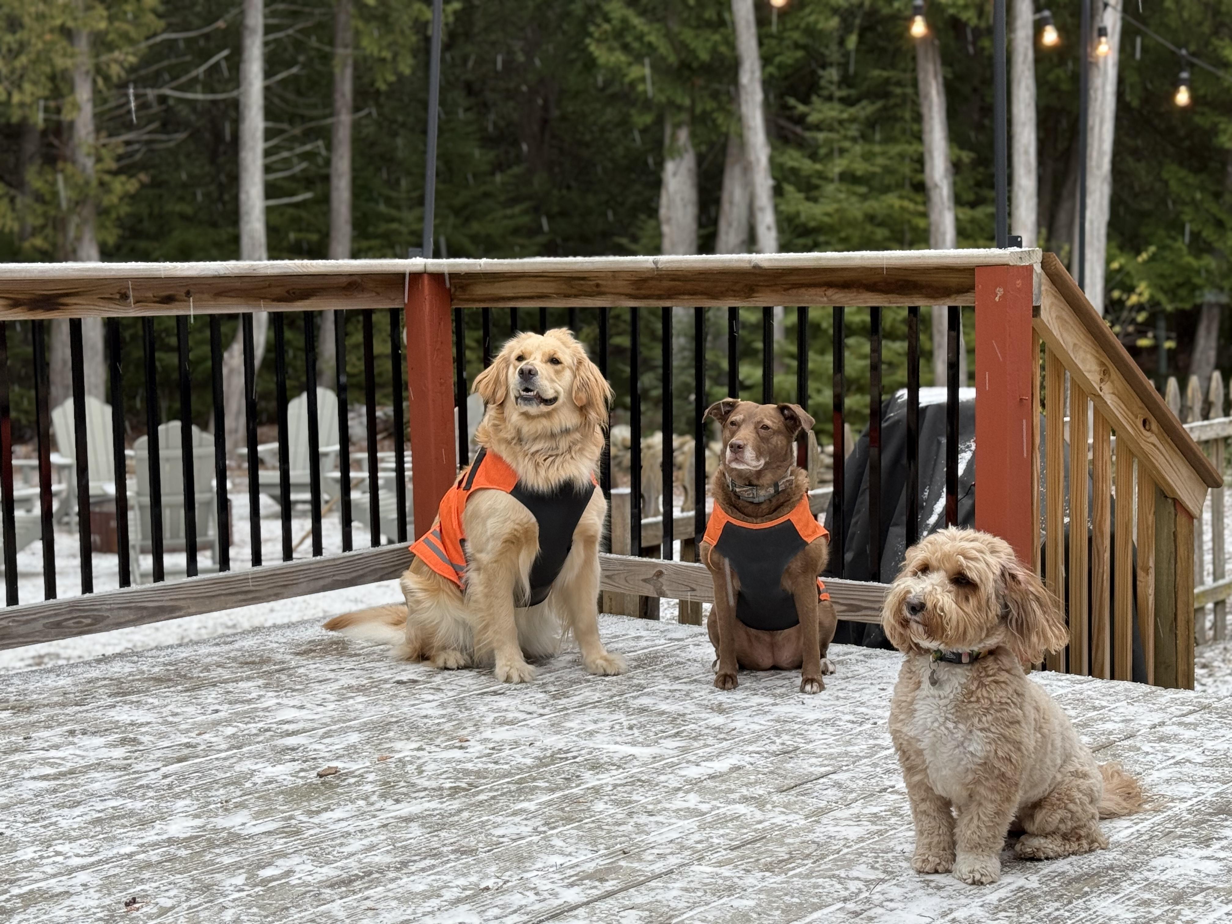 Dog-Friendly Door County