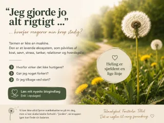 Hvorfor heling af tarmen ikke er en lige linje