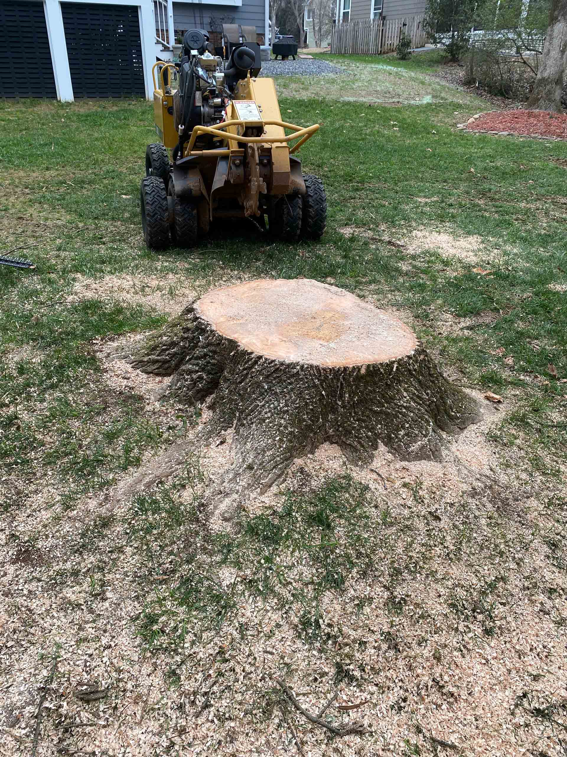 Is It Cheaper to Grind Multiple Stumps at Once?