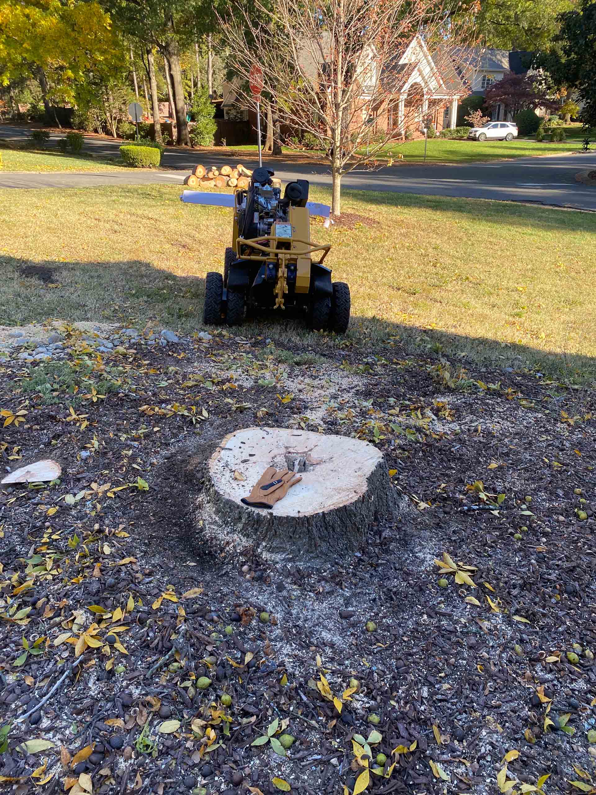 How Does Stump Size Impact Grinding Price?