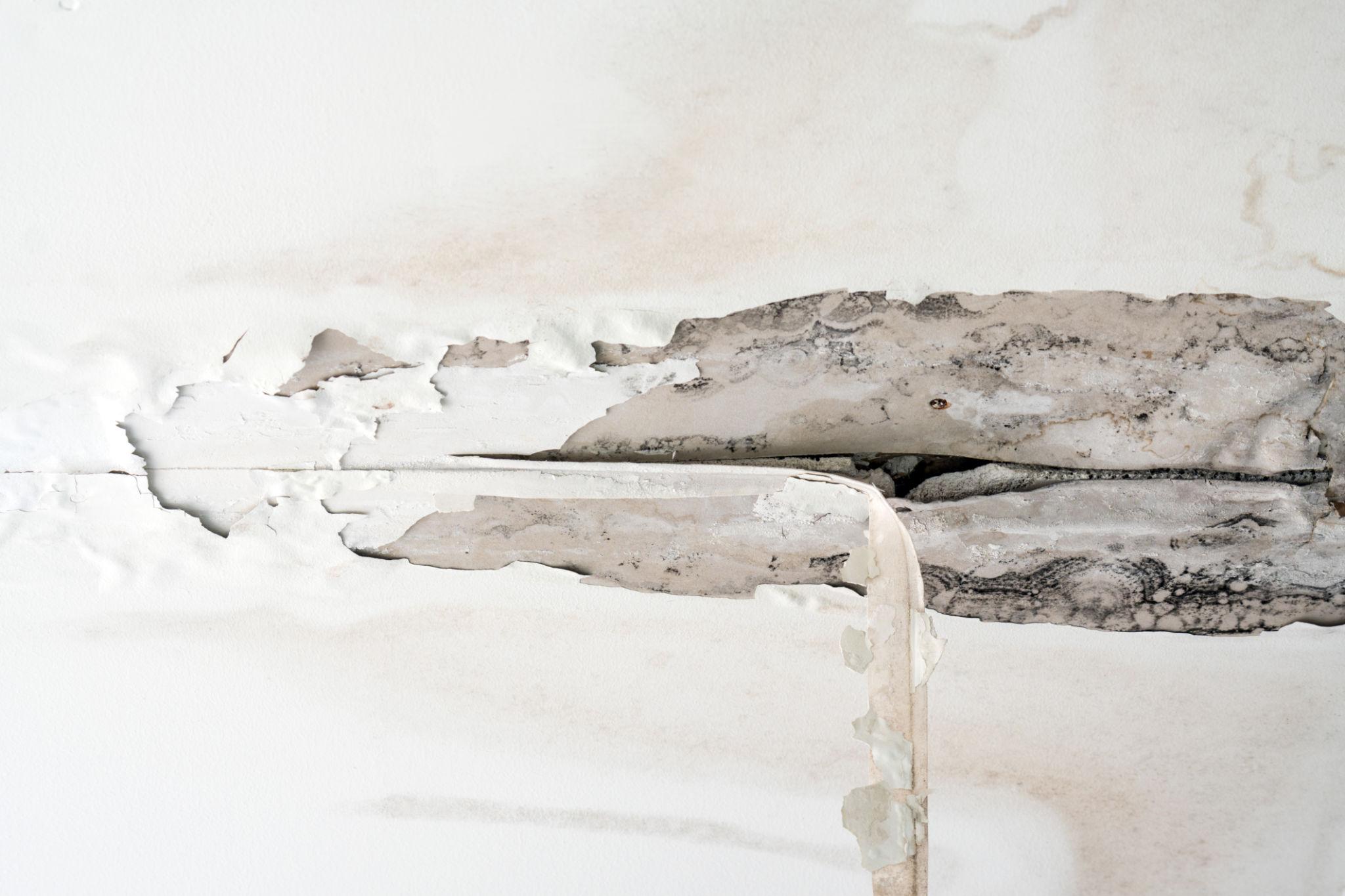 Can Delaying Ceiling Repairs Lead to Higher Costs?