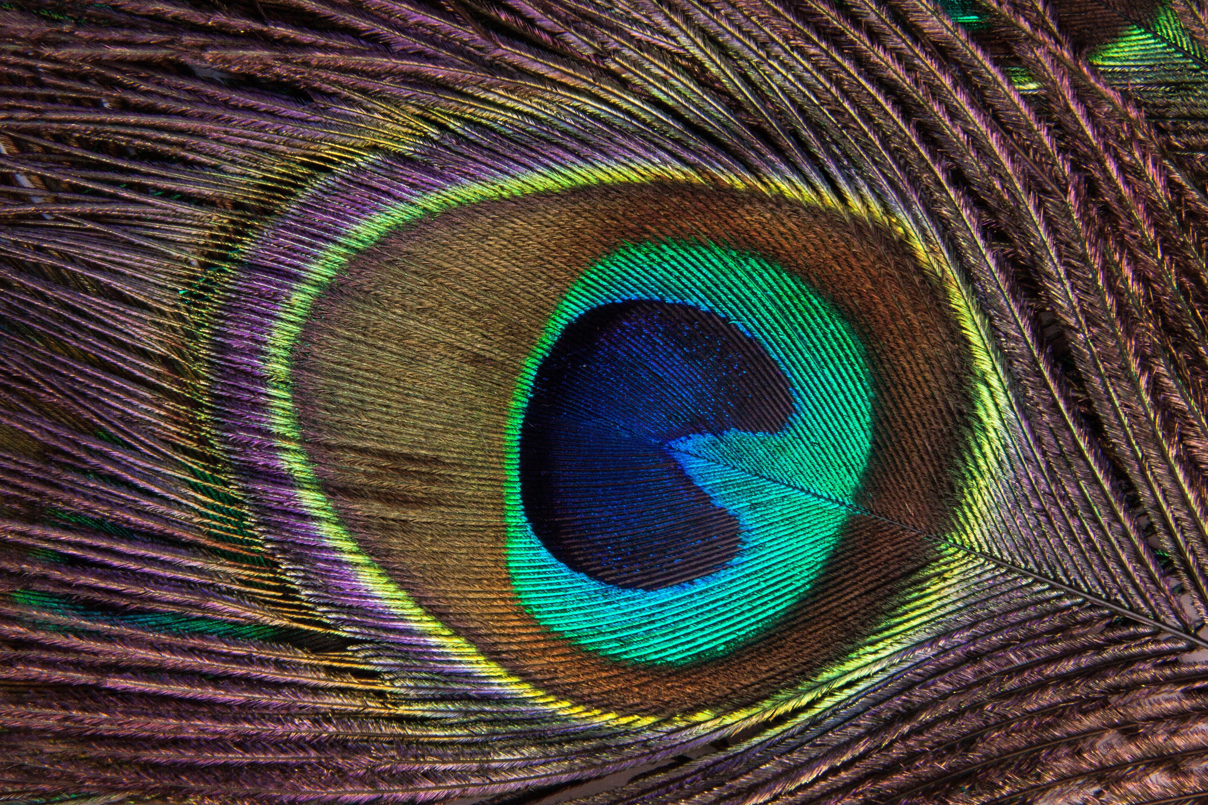 Seeing Ourselves with New Eyes