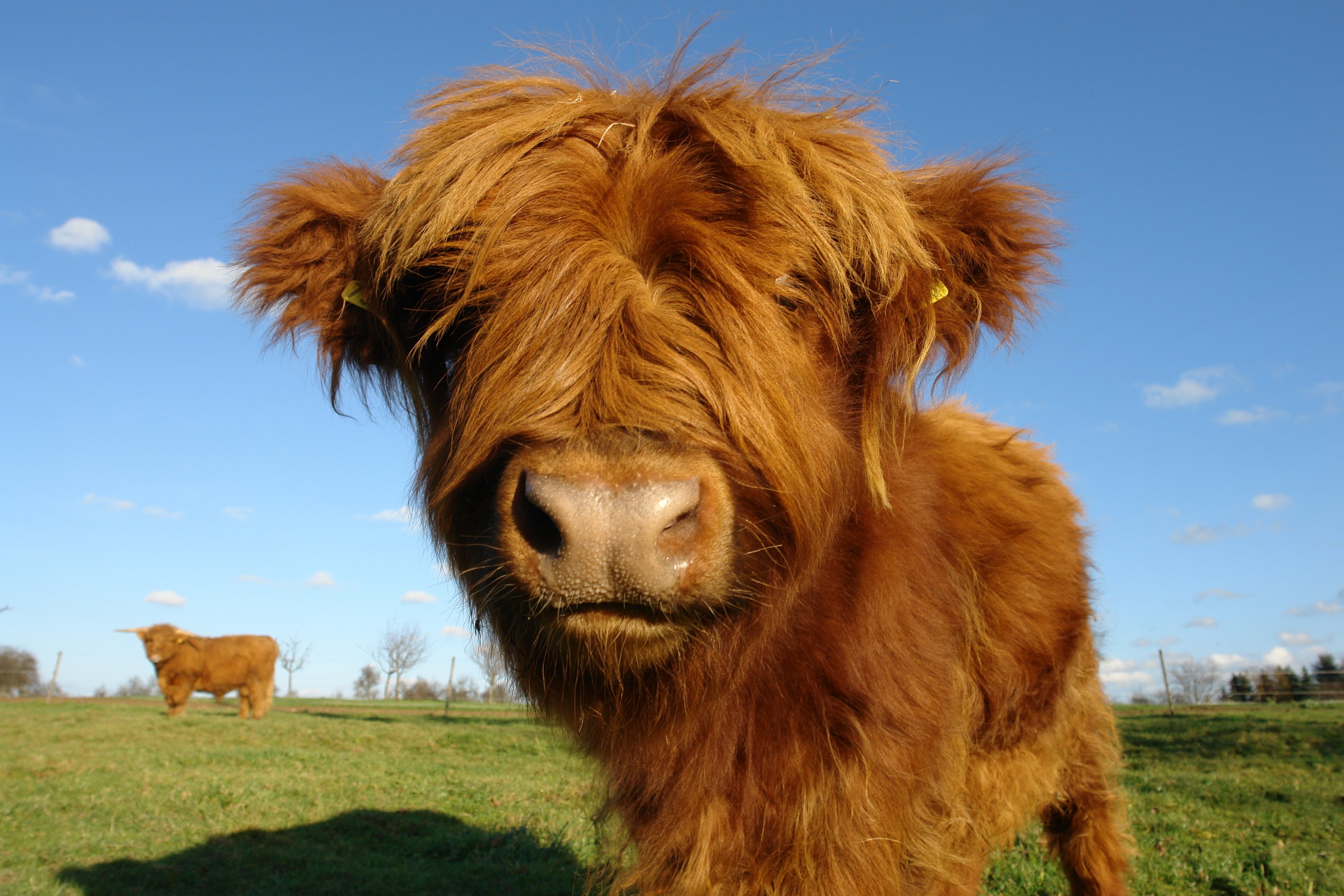 Ranch Property Surprises Buyers Don’t Expect