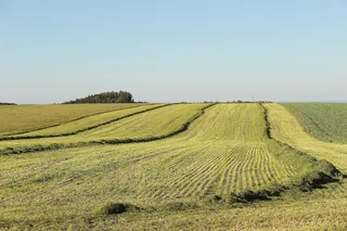 Buying Land in North Texas: 12 Things to Check Before You Buy Acreage