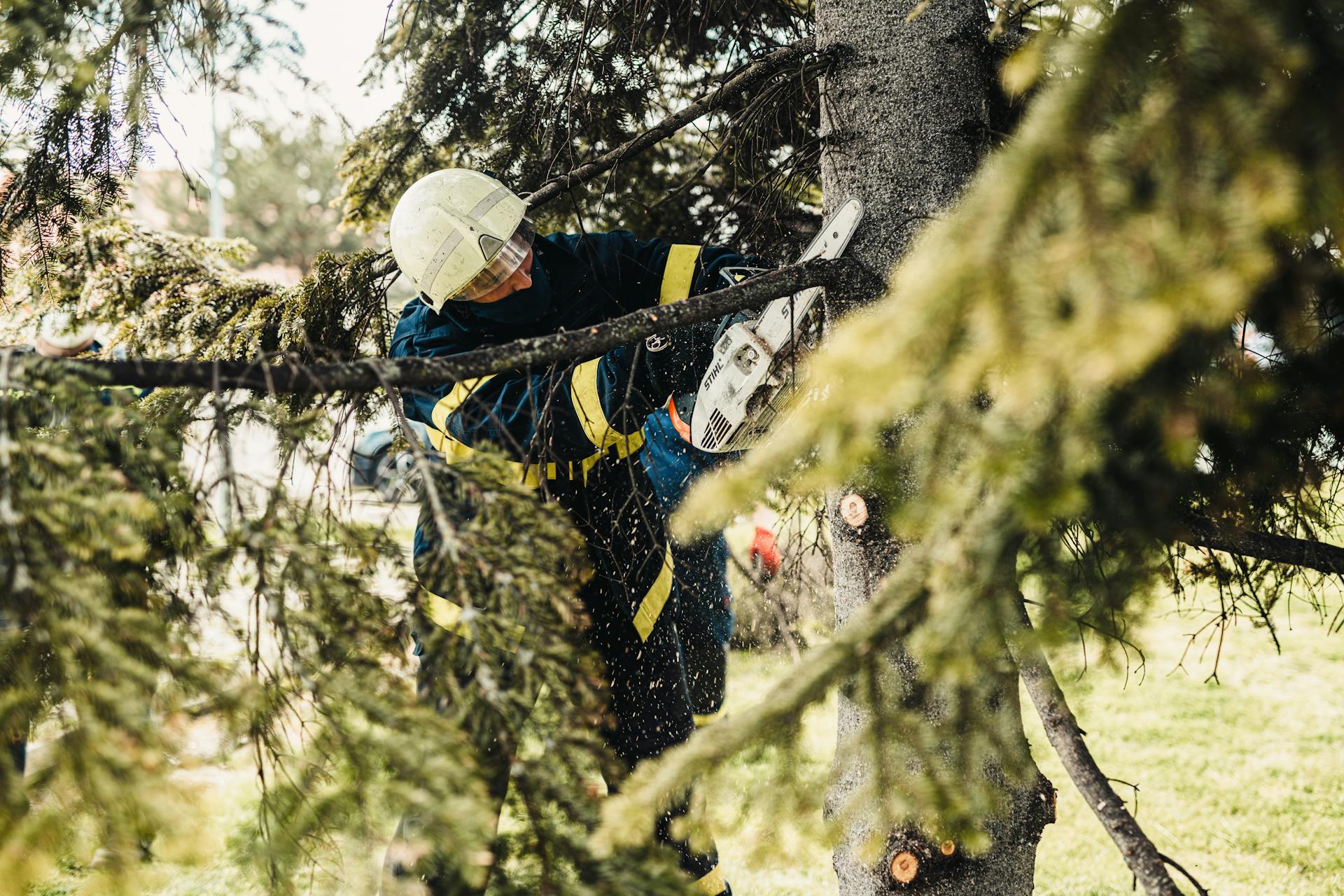 Protecting Foundations with Smart Tree Trimming in Sioux City