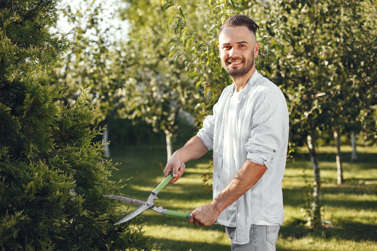 DIY Limb Removal vs. Professional Pruning in Sioux City: Checklist
