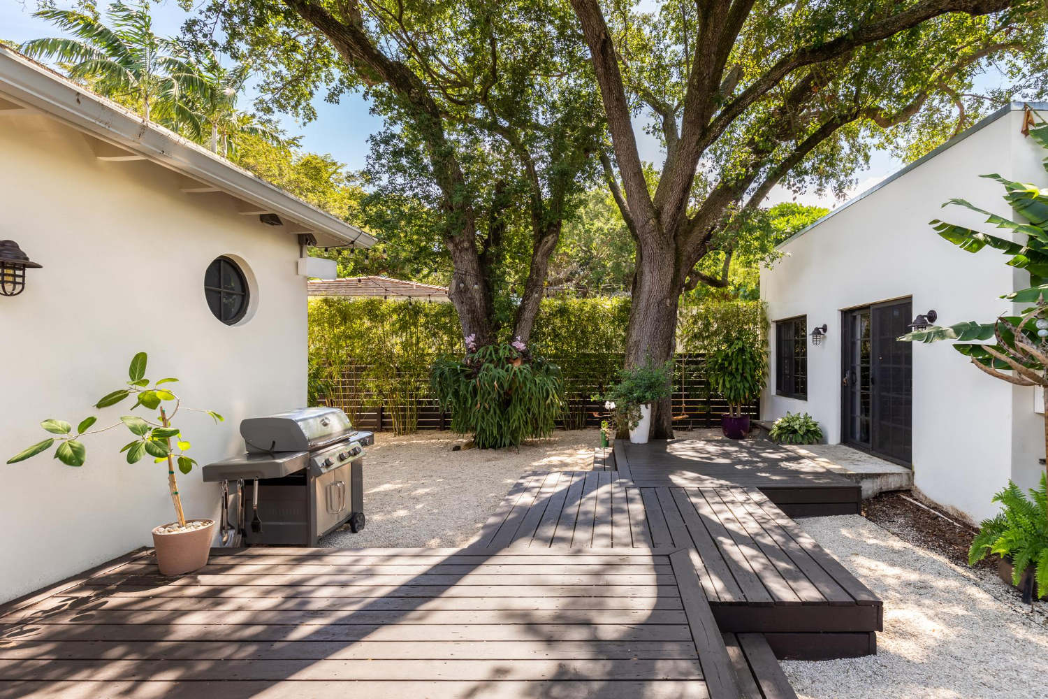 When Backyard Tree Roots Demand Professional Removal