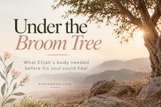 Under the Broom Tree: What Elijah's body needed before his soul could heal