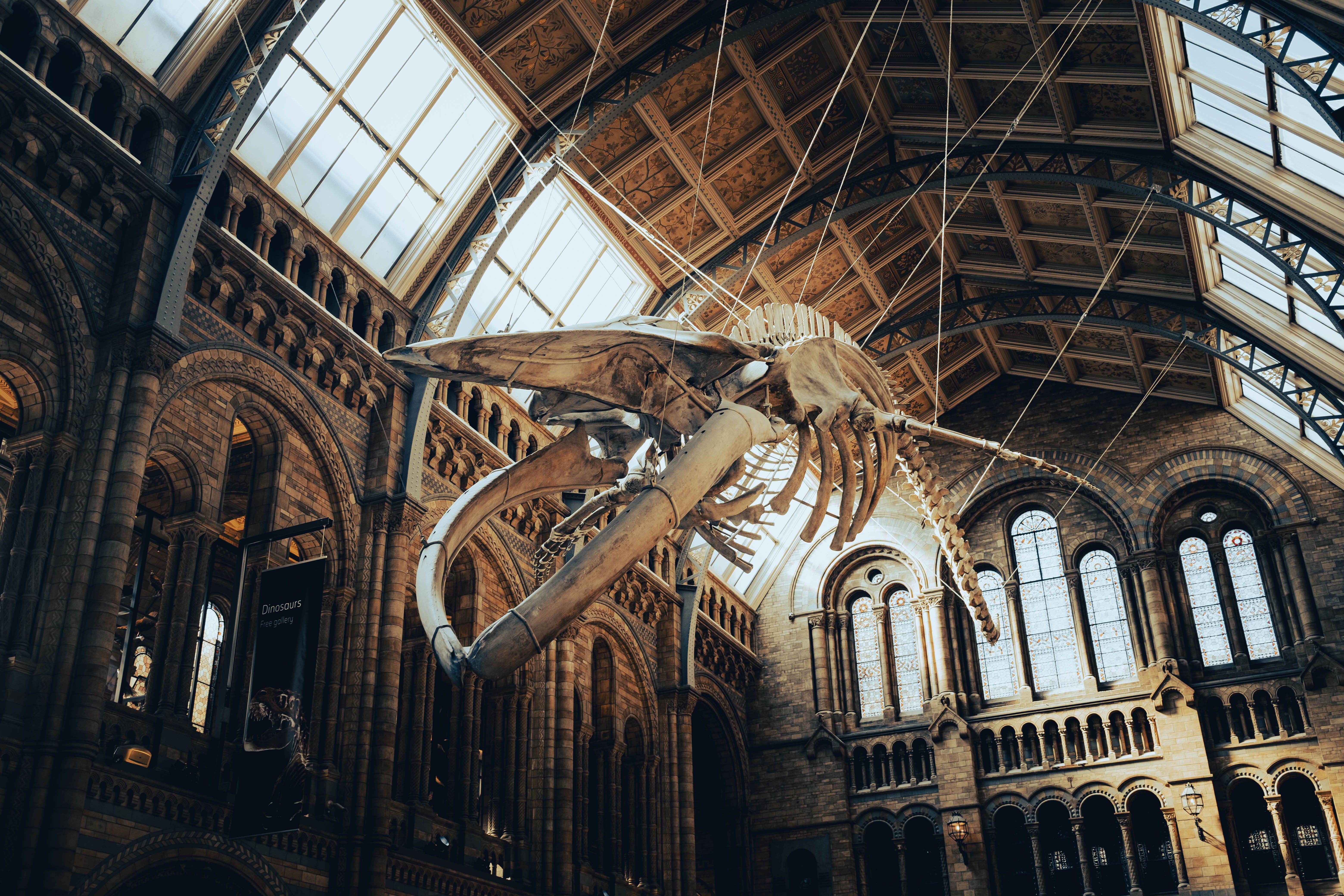 🔬 Science Museum of Virginia in Richmond, VA: Discover, Explore, and Experience the Fun of Science