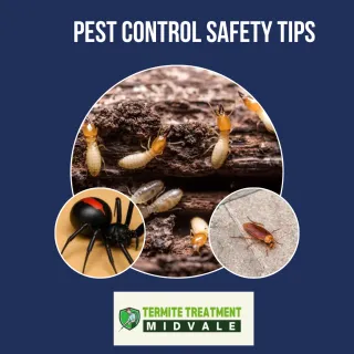 Do You Have to Leave the House for Pest Control?
