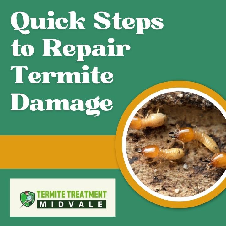 Steps to Repair Termite Damage Quickly and Safely