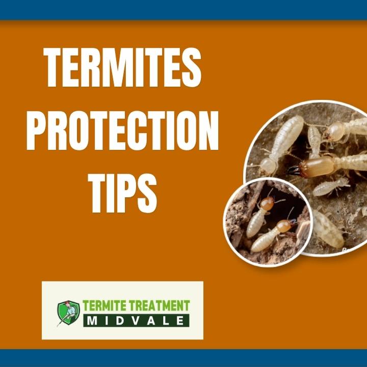 Termite Treatment Tips for Long-Term Property Protection