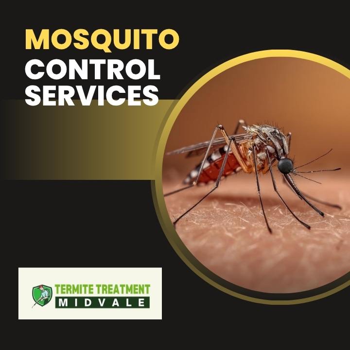 Advanced Mosquito Control Solutions for Outdoor Living Areas