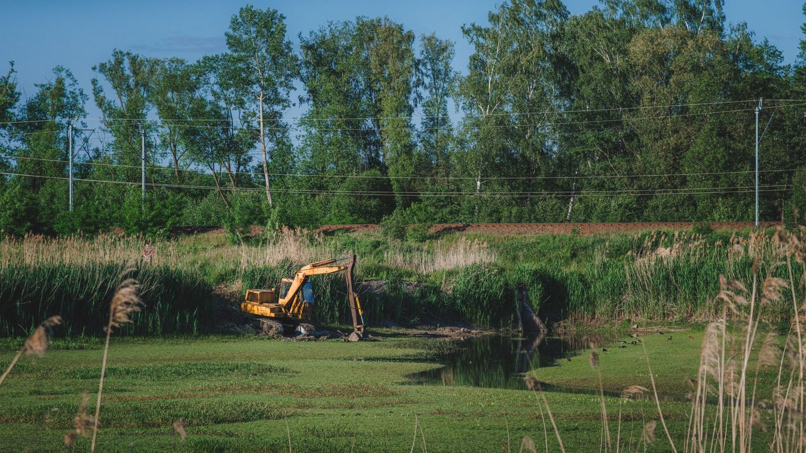 Free On Site Excavation Quote What to Expect