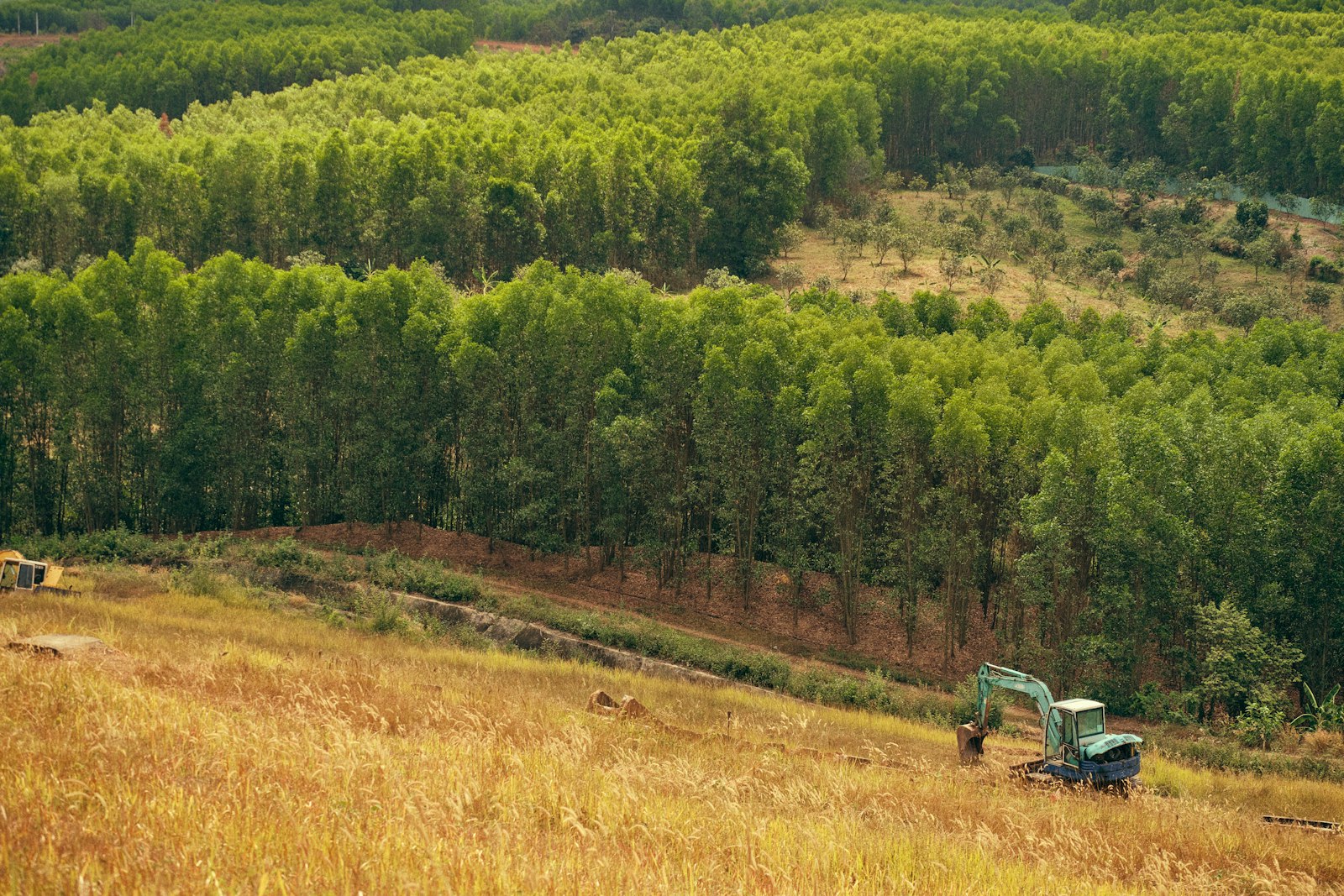 Walk the Acreage Before You Close: The Excavation Red Flags Raw-Land Buyers in Maury and Marshall County Miss