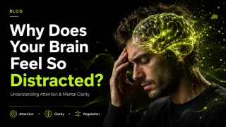 Why Does Your Brain Feel So Distracted? Understanding Attention & Mental Clarity